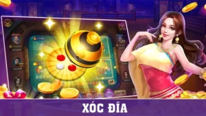 Đánh Bại Nhà Cái Với Mẹo Chơi Xóc Đĩa Tại Fi88
